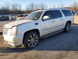 Salvage cars for sale from Copart Marlboro, NY: 2010 Cadillac Escalade ESV Luxury