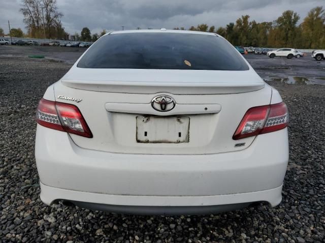 2010 Toyota Camry Base