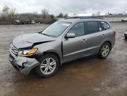 Salvage cars for sale at Columbia Station, OH auction: 2011 Hyundai Santa FE SE