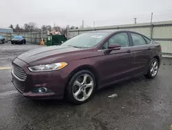 Salvage cars for sale at Pennsburg, PA auction: 2013 Ford Fusion SE