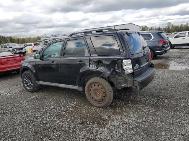 2009 Ford Escape XLT