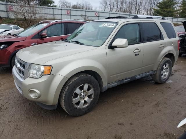 2010 Ford Escape Limited