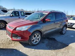 Ford Vehiculos salvage en venta: 2014 Ford Escape Titanium