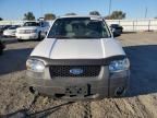 2006 Ford Escape XLT