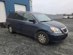 2009 Honda Odyssey EXL