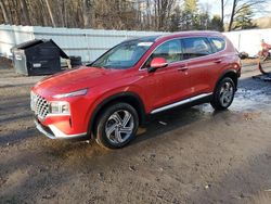 Salvage cars for sale at Center Rutland, VT auction: 2022 Hyundai Santa FE SEL