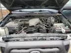 2009 Toyota Tacoma