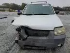 2007 Ford Escape XLT