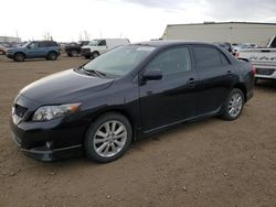 Toyota salvage cars for sale: 2009 Toyota Corolla Base