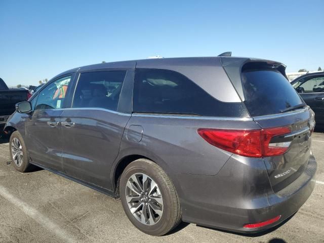 2024 Honda Odyssey EXL