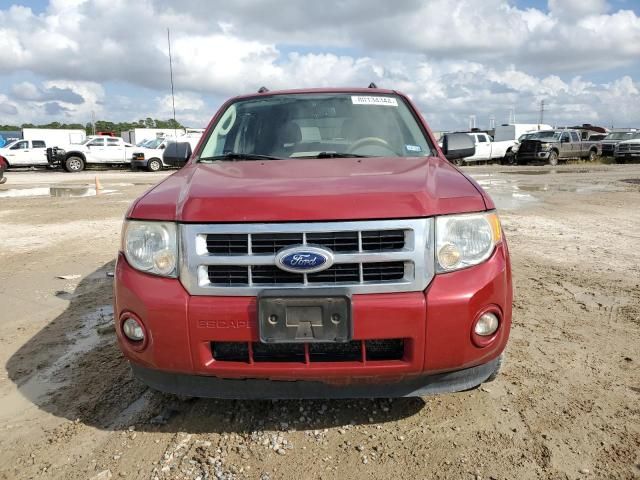 2011 Ford Escape XLT