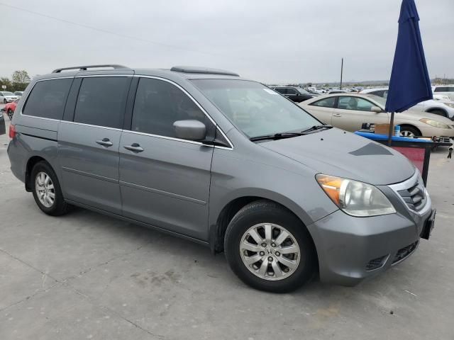 2009 Honda Odyssey EXL