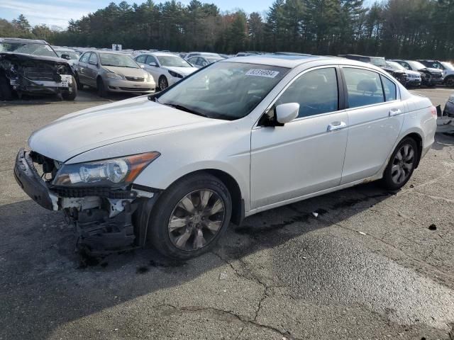 2008 Honda Accord EXL