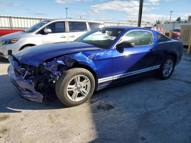 2013 Ford Mustang