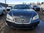 2011 Lexus ES 350