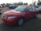 2008 Toyota Camry Hybrid