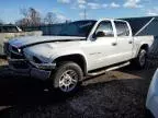 2002 Dodge Dakota Quad SLT