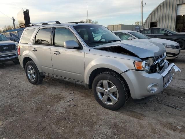 2009 Ford Escape Limited