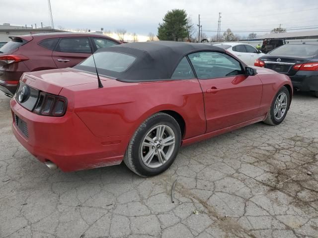 2013 Ford Mustang