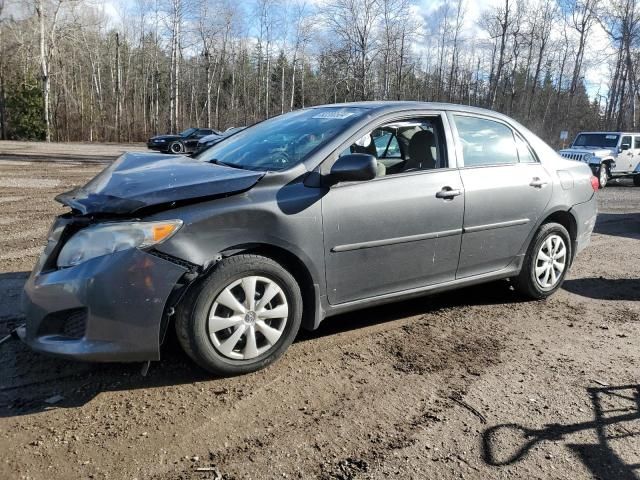 2010 Toyota Corolla Base