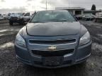 2008 Chevrolet Malibu LS