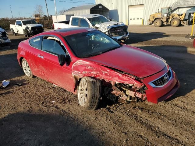 2009 Honda Accord EXL