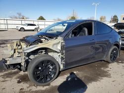 2023 Tesla Model Y en venta en Littleton, CO