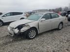 2004 Lexus ES 330