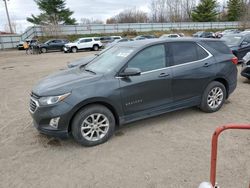 Salvage cars for sale at Davison, MI auction: 2019 Chevrolet Equinox LT