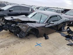 Salvage cars for sale at Wilmer, TX auction: 2023 Dodge Challenger R/T