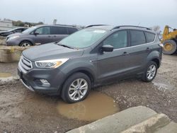 Ford Escape salvage cars for sale: 2017 Ford Escape SE