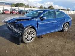 Salvage cars for sale at San Martin, CA auction: 2023 Toyota Camry XLE