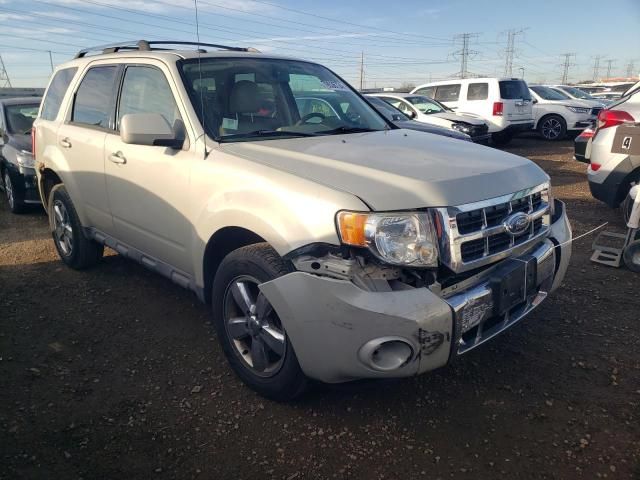 2009 Ford Escape Limited