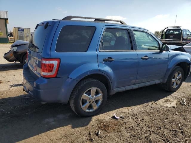 2009 Ford Escape XLT