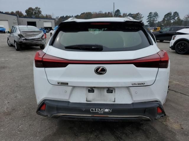 2019 Lexus UX 200