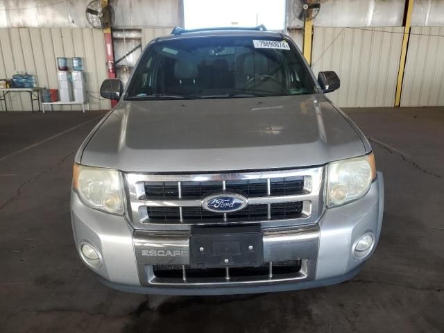 2010 Ford Escape Limited