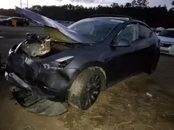 Tesla Model y Vehiculos salvage en venta: 2023 Tesla Model Y