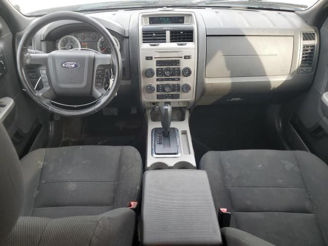 2009 Ford Escape XLT