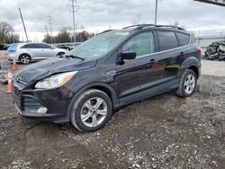 Salvage SUVs for sale at auction: 2013 Ford Escape SE