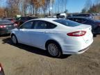 2014 Ford Fusion SE Hybrid