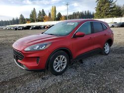 Ford salvage cars for sale: 2020 Ford Escape SE