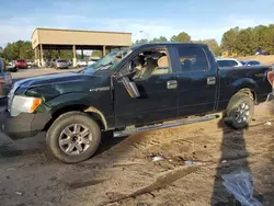 Salvage cars for sale from Copart Gaston, SC: 2013 Ford F150 Supercrew