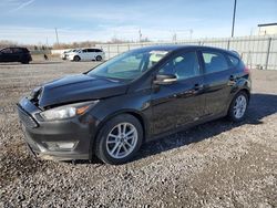 Ford Vehiculos salvage en venta: 2015 Ford Focus SE