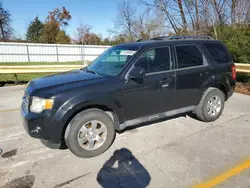 Ford salvage cars for sale: 2011 Ford Escape Limited