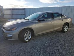 2023 Chevrolet Malibu LT en venta en Riverview, FL