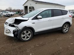 Ford salvage cars for sale: 2014 Ford Escape SE