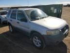 2005 Ford Escape XLT