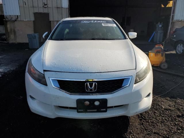 2010 Honda Accord EXL