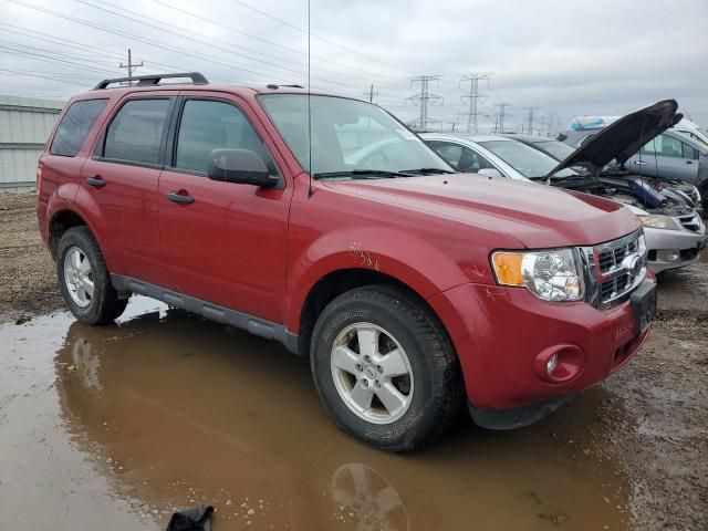 2011 Ford Escape XLT