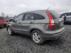 2010 Honda CR-V EXL